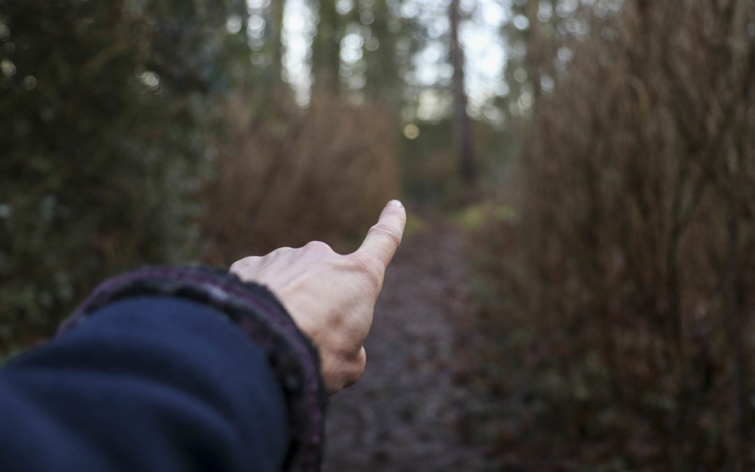 The difference between healthy and unhealthy goal setting