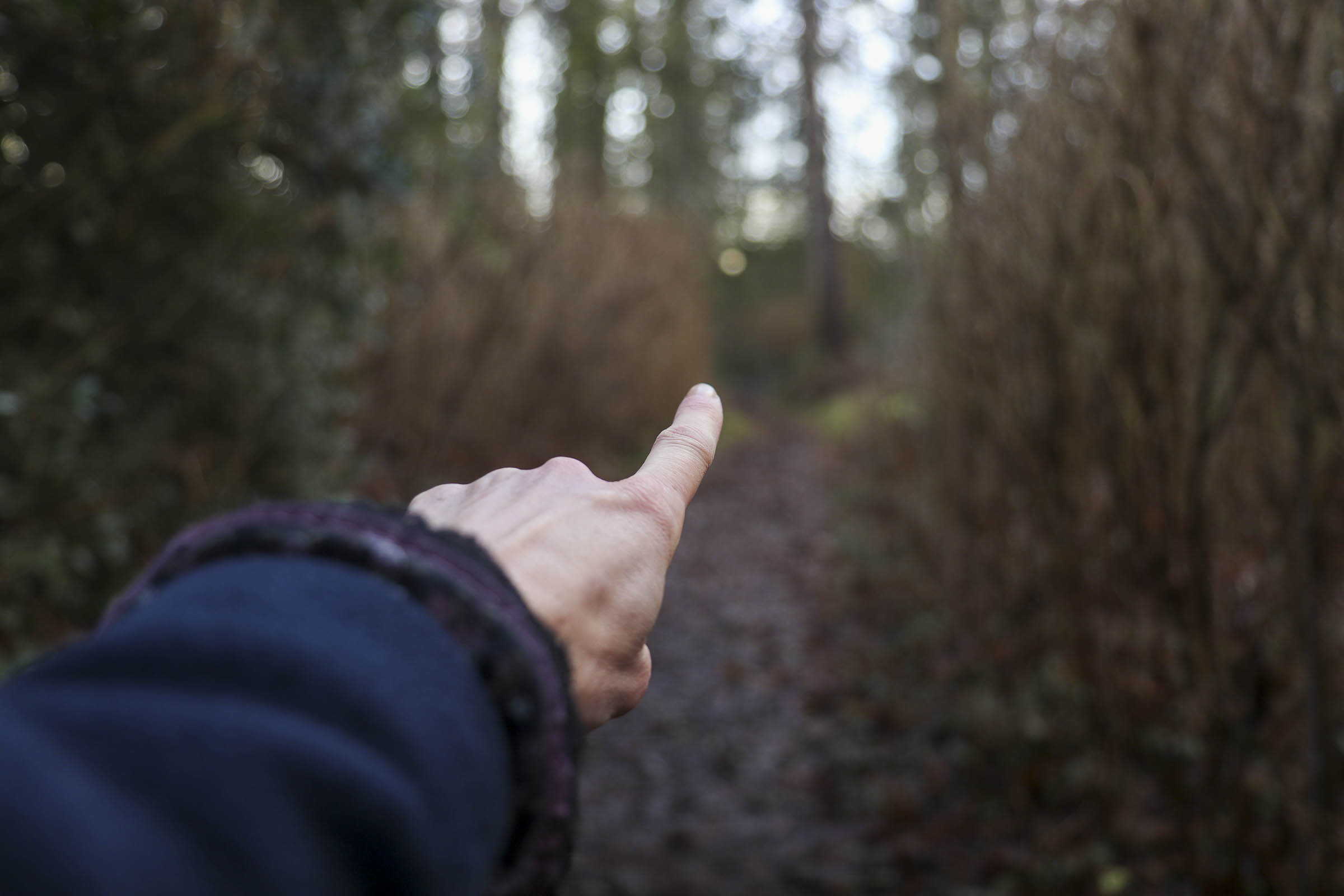 pointing finger woods pointing finger woods
